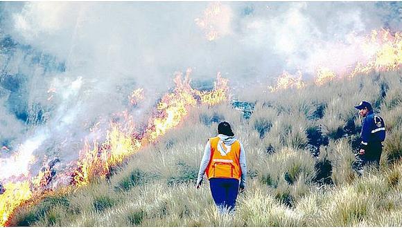 Un total​ de 128 incendios forestales se registraron en Perú solo desde julio (FOTOS)