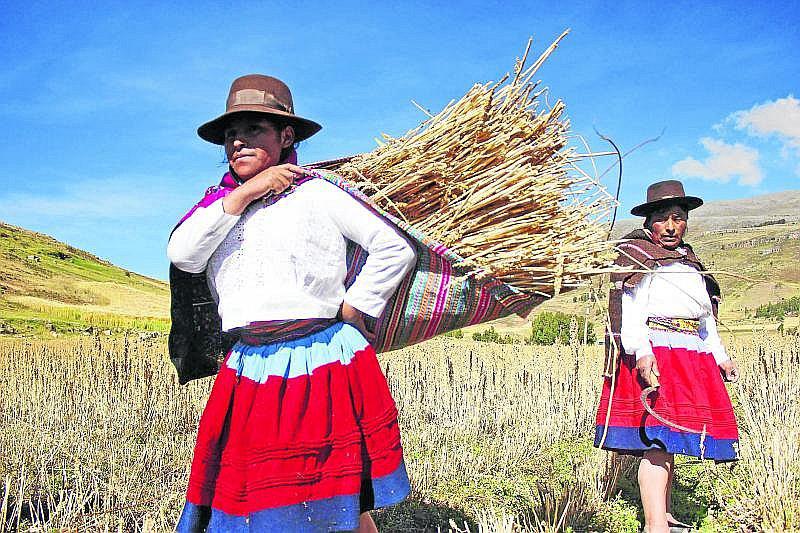 Día del Campesino: Conoce el origen de esta celebración nacional 