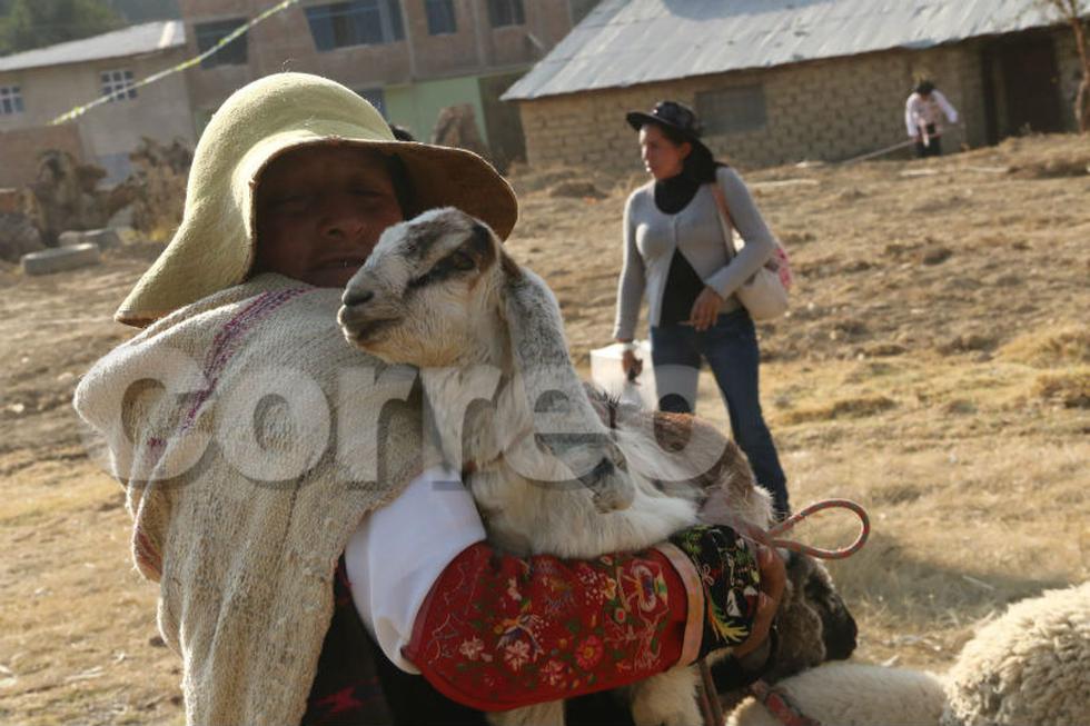 Así celebran humanos y animales en fiesta de Santiago (FOTOS)