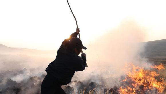 Incendios forestales en Junín han consumido más de mil 800 hectáreas de pastizales