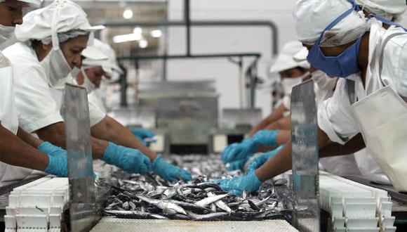 Pesca de anchoveta para consumo humano alcanzará las 30 mil toneladas