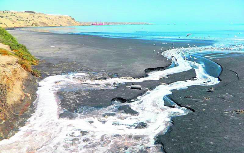 Contaminación de la bahía de Paita es un acto criminal