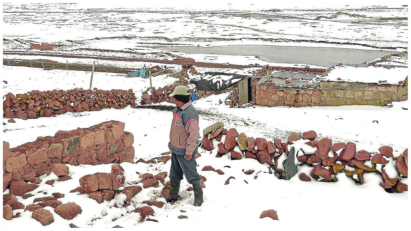 Ocurrencia de heladas pone en riesgo  la salud de más de 10 mil habitantes