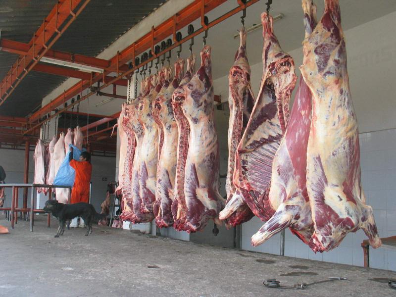 Piden clausura de Camal Frigorífico en el Callao