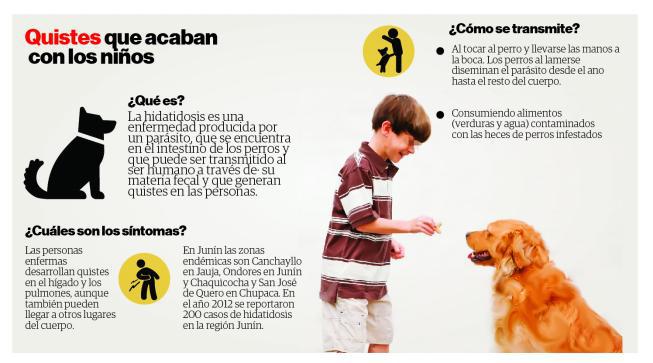 Crece casos de quistes en menores de edad por contacto con perros 