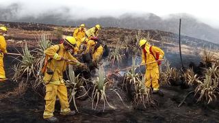 Expertos en incendios forestales ayudarán a extinguir fuego que afecta bosques en Cusco