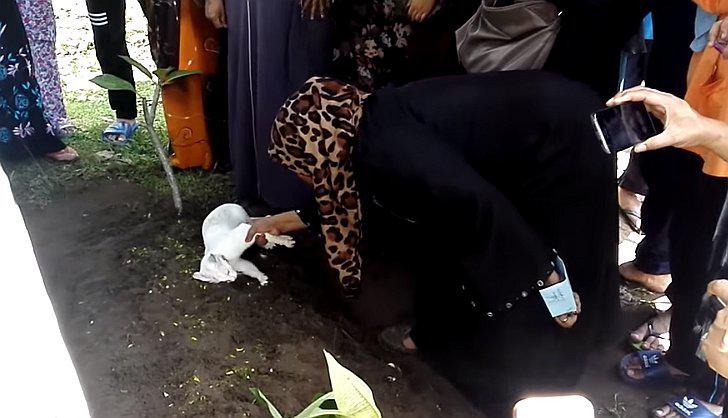 YouTube: gato se niega a abandonar la tumba de su dueño y conmueve a miles (VIDEO)