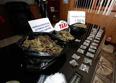 ONU advierte que producción de coca se incrementó en Perú