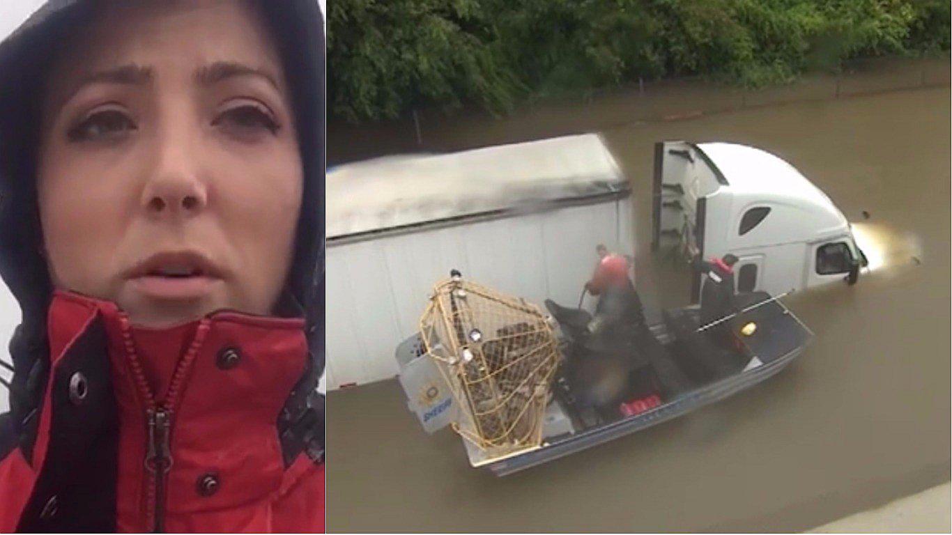 Huracán Harvey: Reportera salvó a conductor de camión atrapado en el agua (VIDEO)