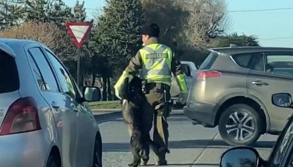 Perro intenta jugar con policía de tránsito en medio de la carretera (VIDEO)