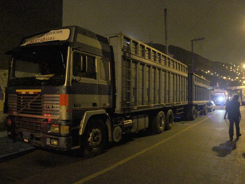 Intervienen camión con caballos y burros a pocos metros del camal de Yerbateros