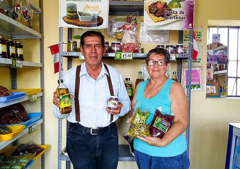 El olivo de Bella Unión y su peculiar calidad