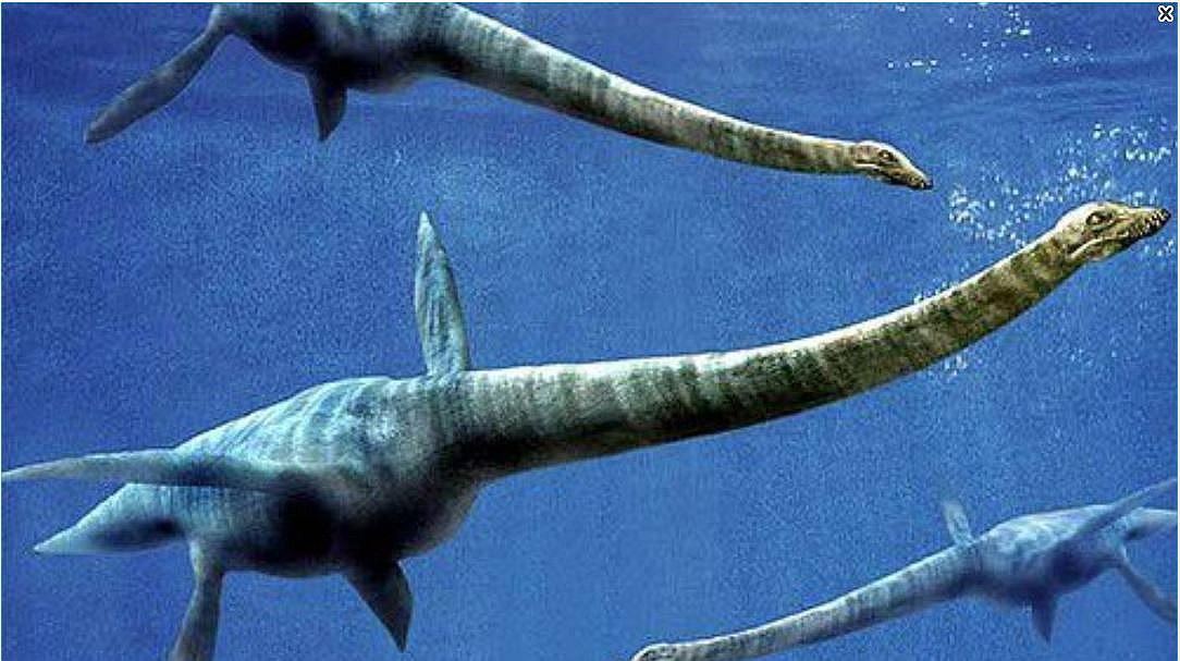 Hallan por primera vez los restos de un plesiosaurio en Perú (FOTOS)