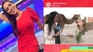 Romina Vega y su tímida reacción al ser sorprendida por un camello durante enlace en vivo desde Qatar | VIDEO 