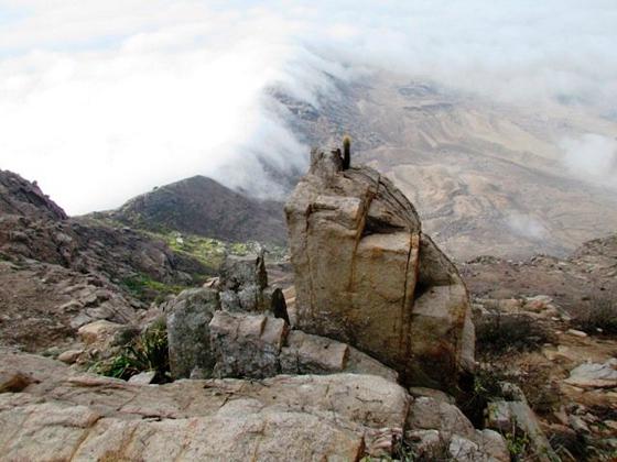 Pedirán a Congreso protección de cerro Campana