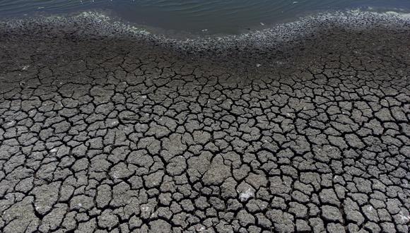 El embalse, que abastece de agua potable a Valparaíso y Viña del Mar, acumula el 0,2% de su capacidad hídrica total ya que la zona central de Chile enfrenta una de las sequías más extensas desde que existen registros. (Foto: Martin BERNETTI / AFP)