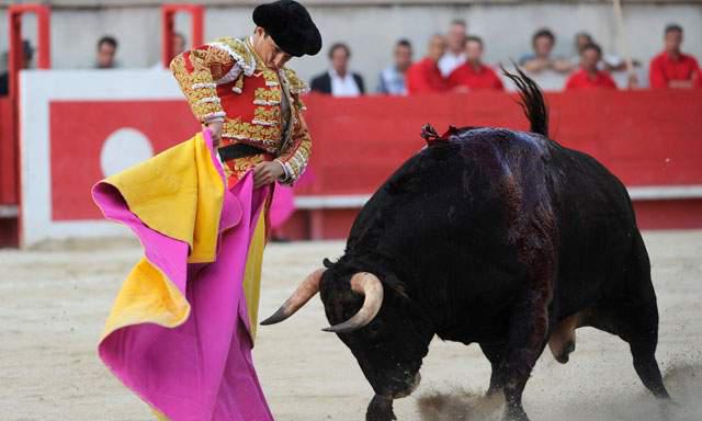Piden incluir corrida de toros en la ley que penaliza el maltrato animal 