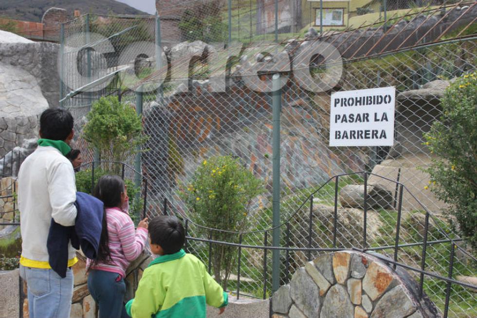 El nuevo parque para los animales en el zoológico de Huancayo (FOTOS)