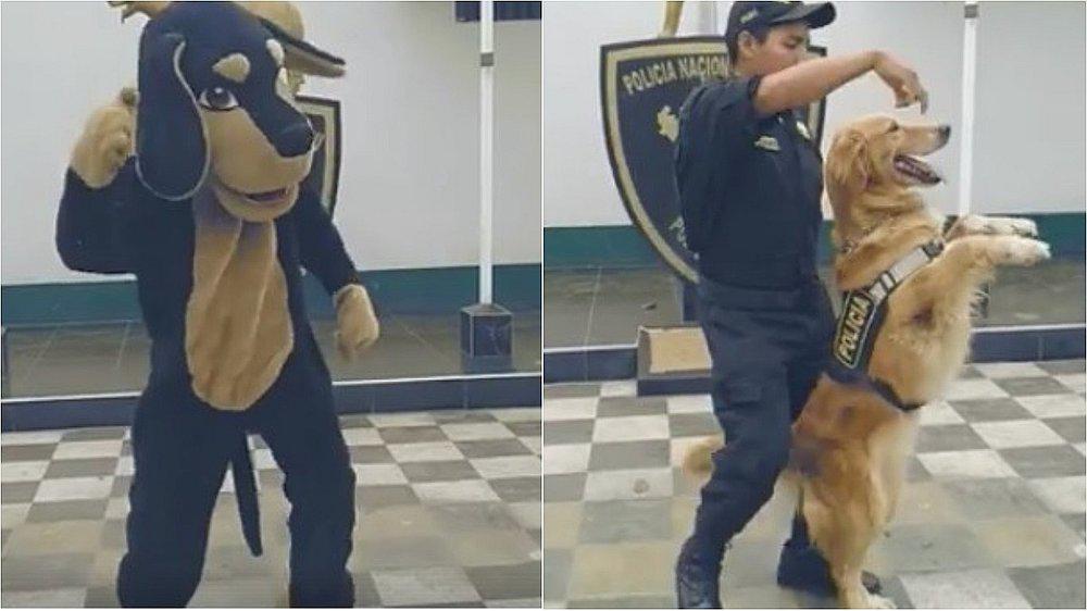PNP crea video contra maltrato animal bajo el ritmo del 'Scooby Doo PaPa' (VIDEO)