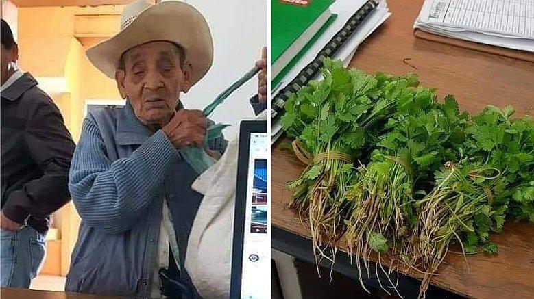 ​Anciano paga su partida de nacimiento con tres manojos de cilantro (FOTOS)