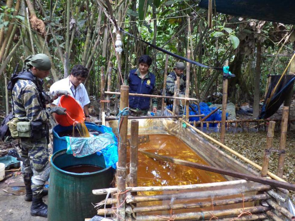 Destruyen insumos para droga en Monzón