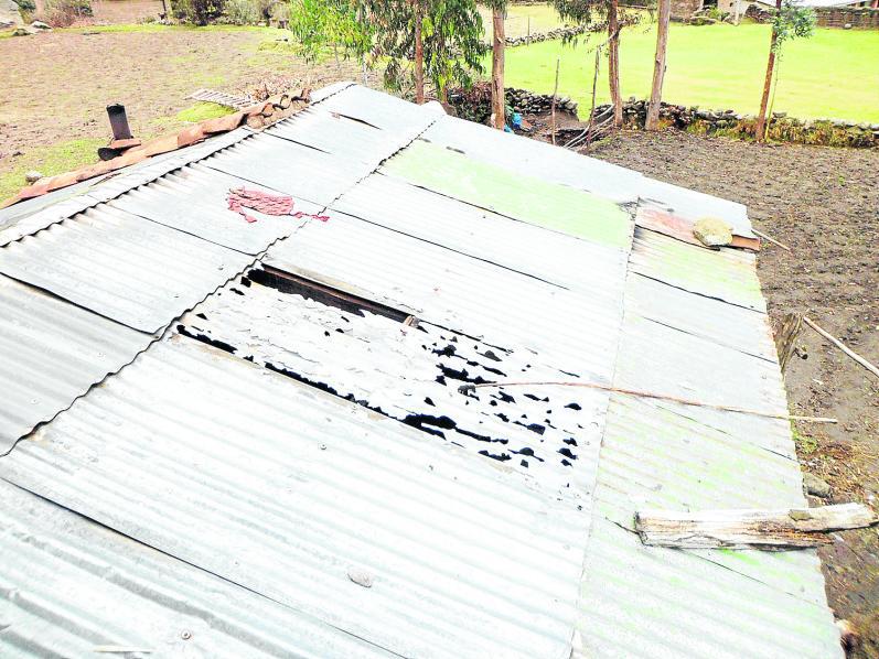 Instan a reforzar paredes y techos