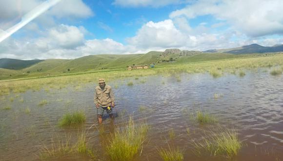 Un poblador se desplaza a través de aguas pluviales. Puno. Foto/Difusión.