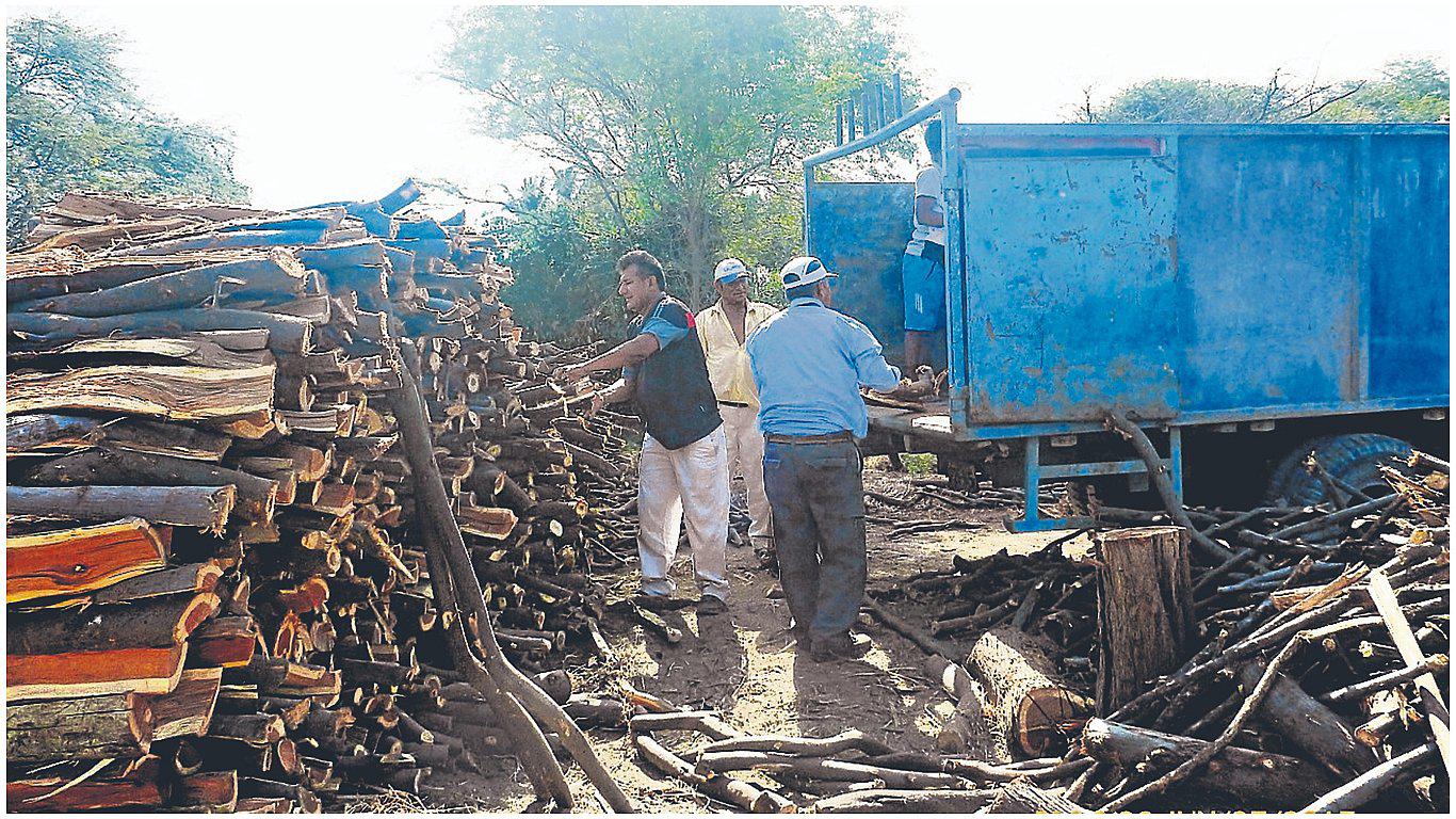 30 sentencias por delitos ambientales en lo que va del año 