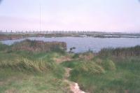 Denuncian contaminación sonora en Pantanos de Villa