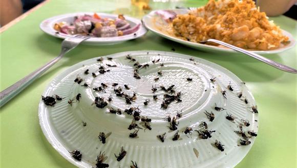 El principal lugar de distribución de alimentos de la ciudad ha sido el más afectado con las  moscas. Esta plaga incrementa en 34,252 los casos de enfermedades diarreicas