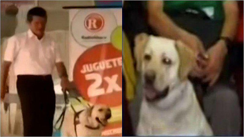Piden ayuda para encontrar a Isacc, el perro guía de un invidente (VIDEO)