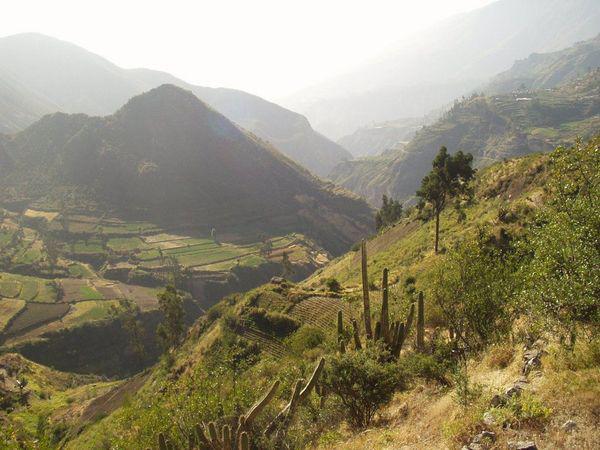 Lanzan página web del Circuito Ticsani en Moquegua