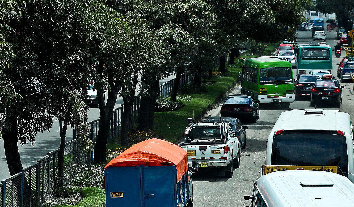 Registrarán árboles de avenida Cayma con códigos QR