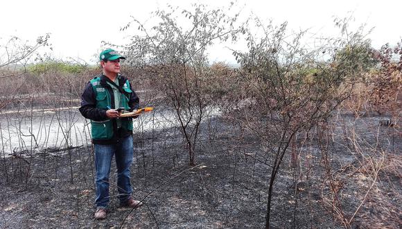 Incendios forestales arrasan con 270 hectáreas de bosque en Piura