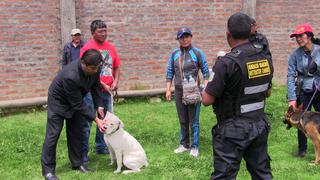 Serenos de Huancayo enseñan cómo entrenar a tu perro (VIDEO)