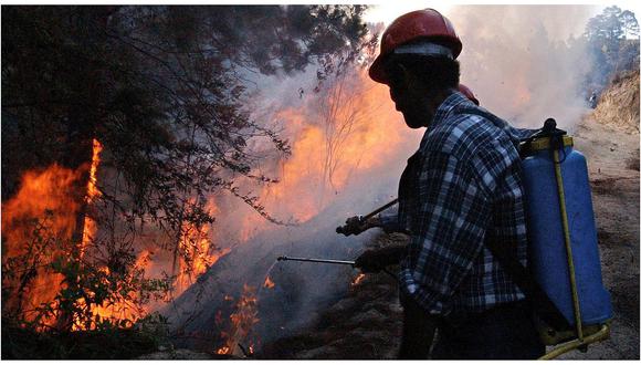 Negligencia, el origen de los incendios forestales