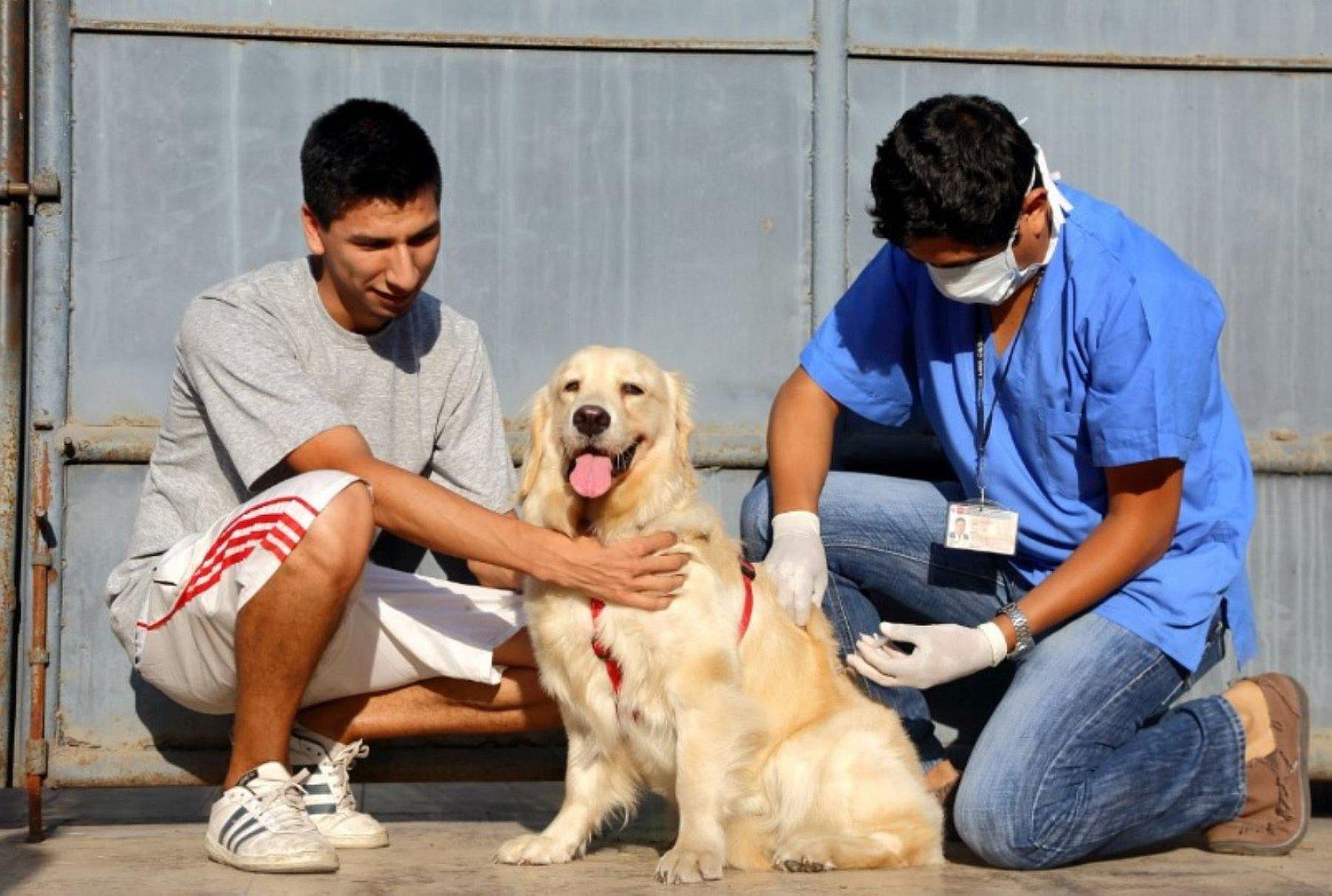 Minsa vacunará contra la rabia a 900 mil perros este sábado y domingo 