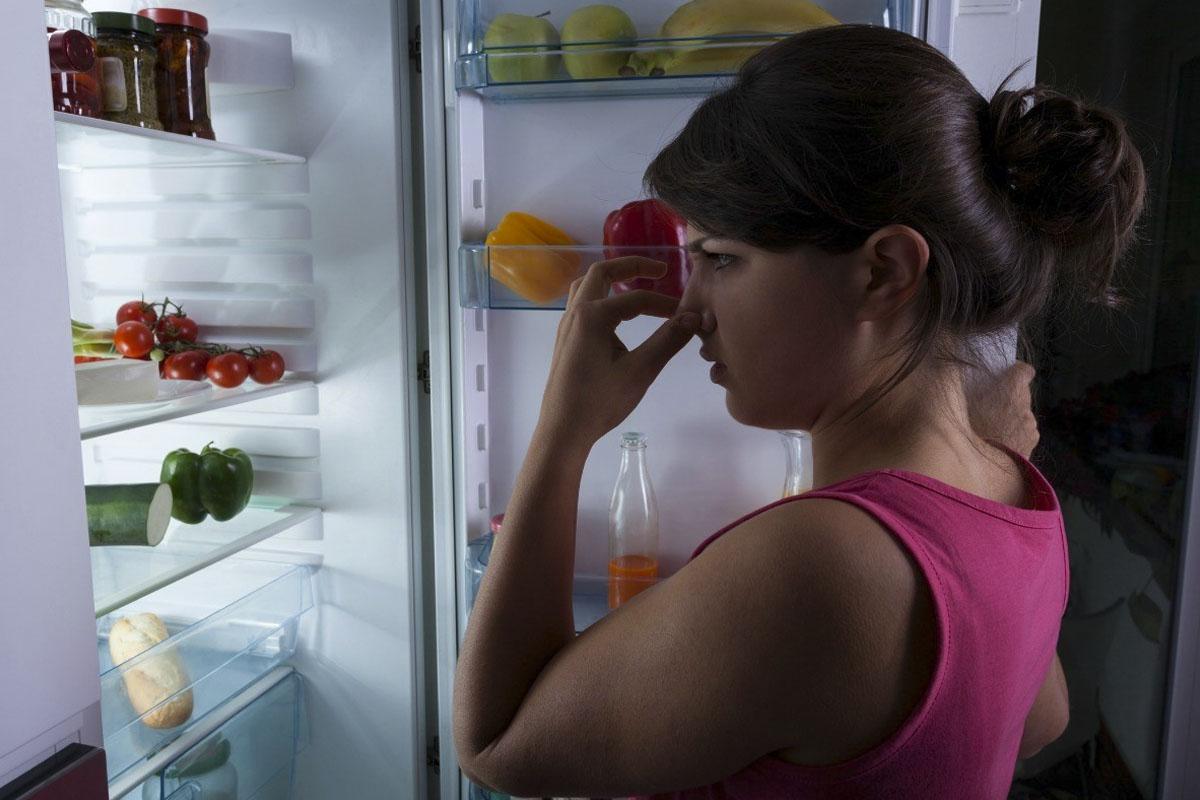 ¿Cómo eliminar el mal olor del refrigerador? (Foto: Pixabay)