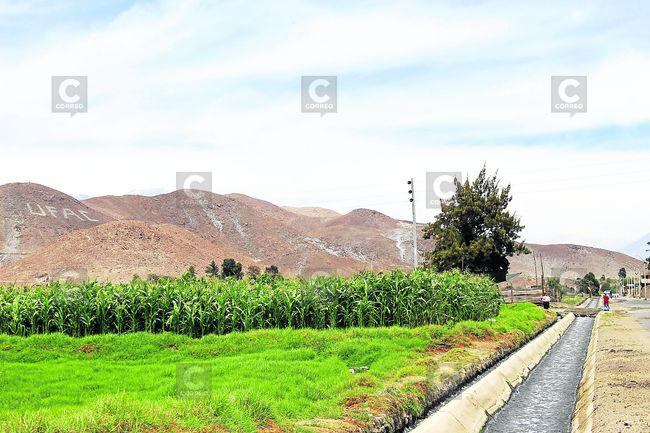 Arequipa: 1,400 agricultores de La Joya anuncian paro por falta de suministro de agua