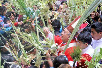 Hoy bendición de
 palmas en capillas