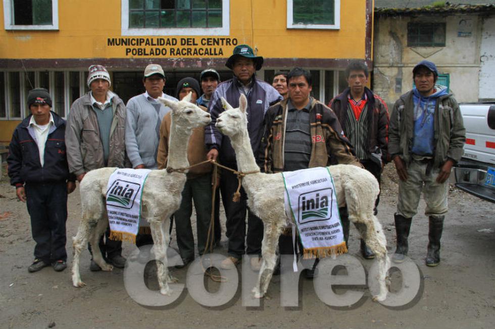 Correo hizo realidad el milagro de Navidad para los niños de Comas (FOTOS)