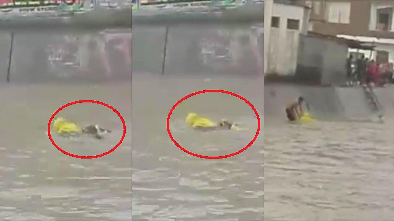 Sullana: Perro salva a su amo de ser arrastrado por la corriente tras fuertes lluvias (VIDEO) 