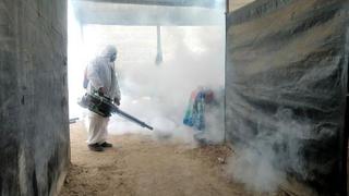 Reaparece el dengue con 10 casos en la provincia de Chincha  