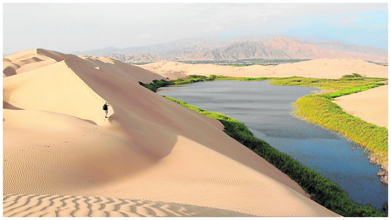 Pisco: Pretenden apropiarse de terrenos colindantes con la Laguna Morón