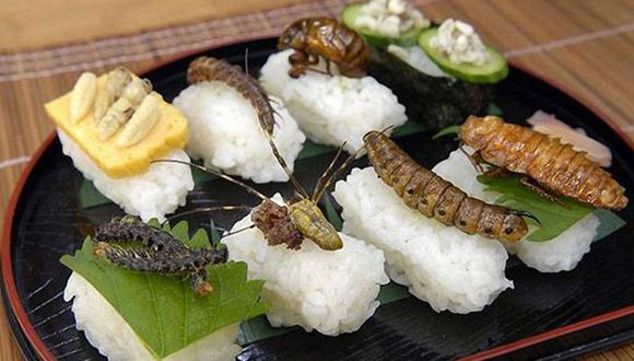 FAO lanza recomendación mundial: "Coman insectos"