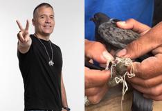 Mathías Brivio celebró rescate de paloma atrapada en cable: “Las cosas buenas se comparten”