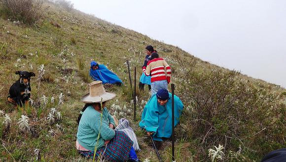 Piura: Promueven siembra de cultivos nativos en Huancabamba