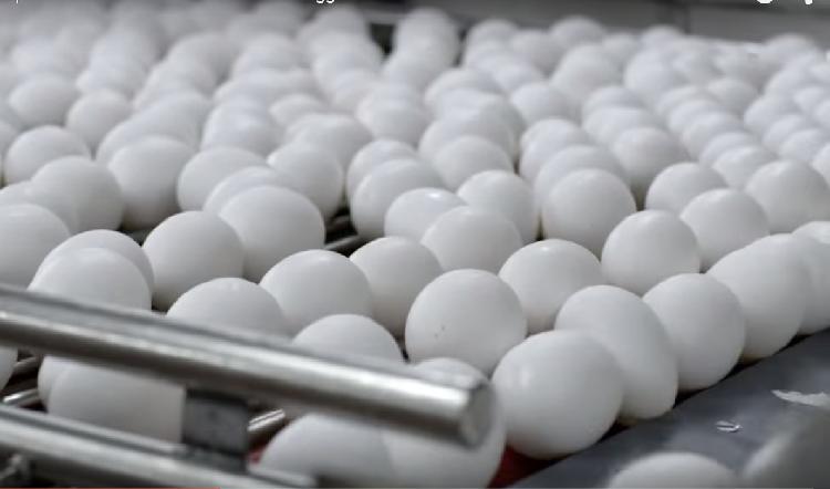 YouTube: ¿Esta cadena popular de fast food usa huevos de verdad?