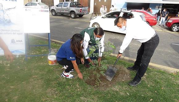 Jóvenes ​siembran árbol como compromiso por el Perú