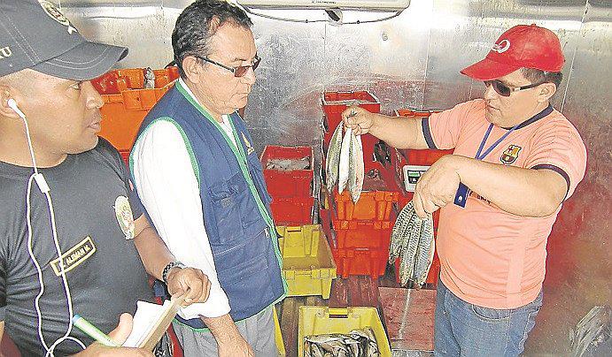 Tumbes: Incautan más de tres toneladas de caballa con talla mínima